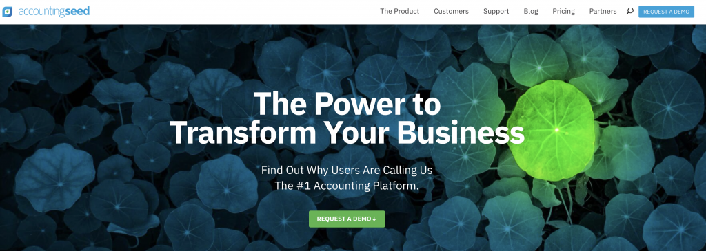 Accounting Seed Home Page