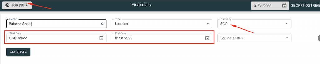 Once you complete the above step you will see the unconsolidated balance sheet in SoftLedger